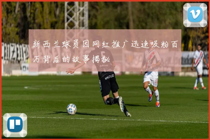 新西兰球员因网红推广迅速吸粉百万背后的故事揭秘
