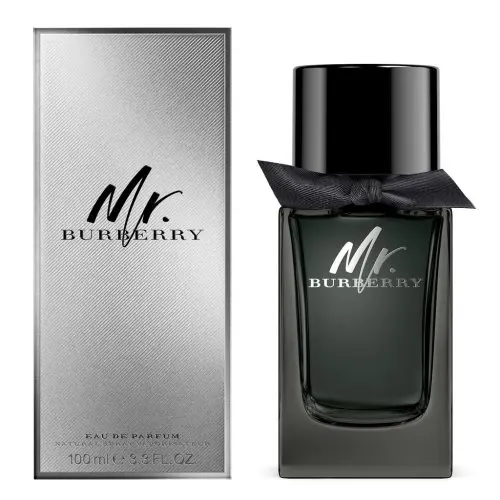 Best Burberry Perfumes for Men, Men's Colognes Mr. Burberry EDP Masculine Scent